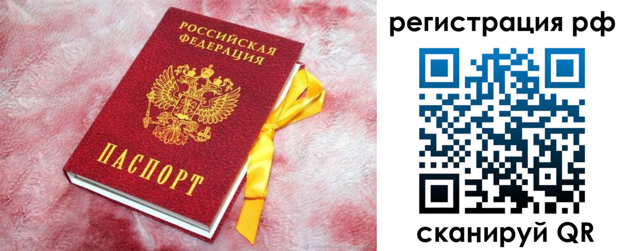 прописка в Дорогобуже